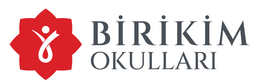 Birikim Okulları